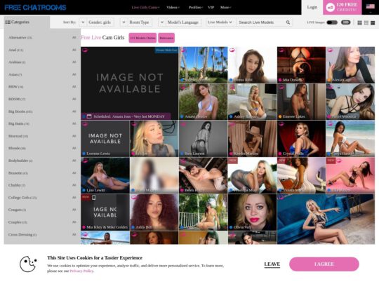Adult Cams