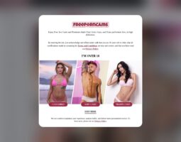 Free Porn Cams