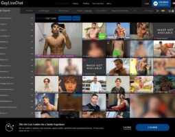 Gay Live Chatting