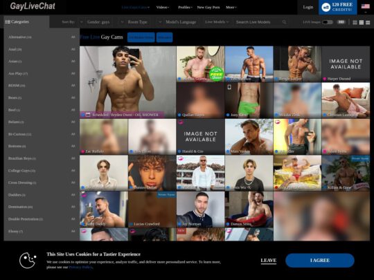 Gay Live Chatting