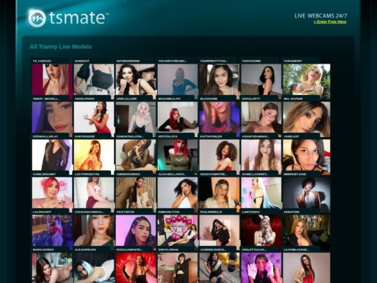 TrannyCams